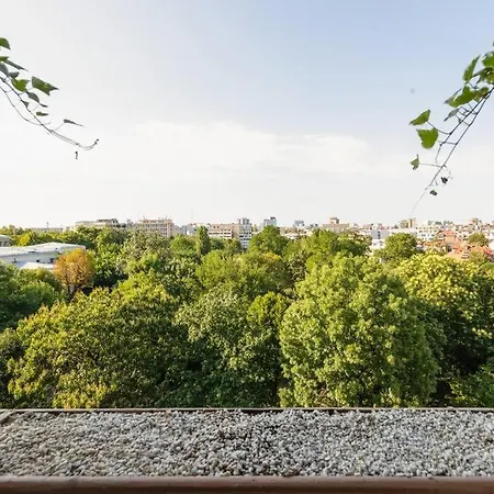 The Moonlit - M&n Bukareszt